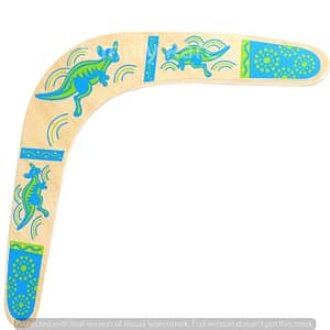 Wooden Boomerang