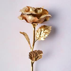 Golden Rose